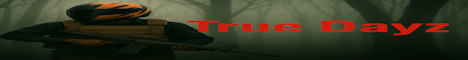 True DayZ | Vanilla+ | Build Anywhere | Loot+ | dsc.gg/truez
