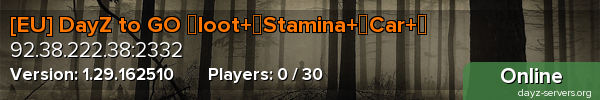 [EU] DayZ to GO ↕loot+↕Stamina+↕Car+↕