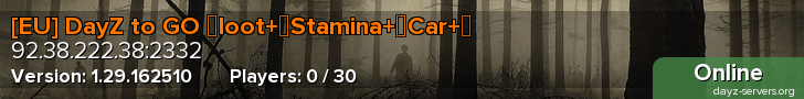 [EU] DayZ to GO ↕loot+↕Stamina+↕Car+↕