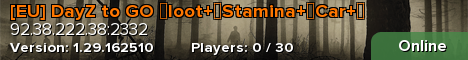 [EU] DayZ to GO ↕loot+↕Stamina+↕Car+↕
