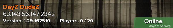 DayZ DudeZ