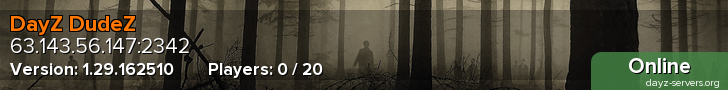 DayZ DudeZ