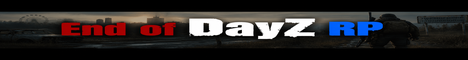 End of DayZ RP
