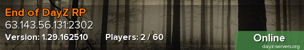 End of DayZ RP
