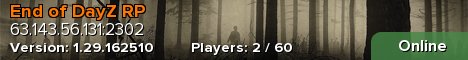 End of DayZ RP